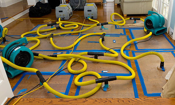 Professional Storm Water Damage Restoration technician working in Chaska, MN